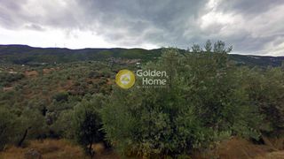 Αγροτεμάχια 4.300 τ.μ. προς πώληση