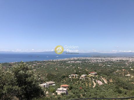 Land plot 4.700sqm for sale-Kalamata » Perivolakia