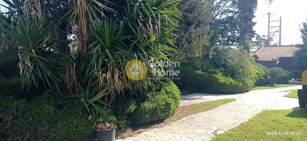 Επιχείρηση 325 τ.μ. πρός ενοικίαση, Αθήνα - Ανατολικά Προάστια, Κορωπί