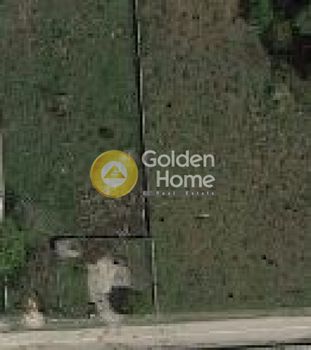 Land plot 2.500sqm for sale-Com. Kapandriti » Mikrochori