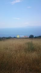 Αγροτεμάχια 16.000 τ.μ. για πώληση