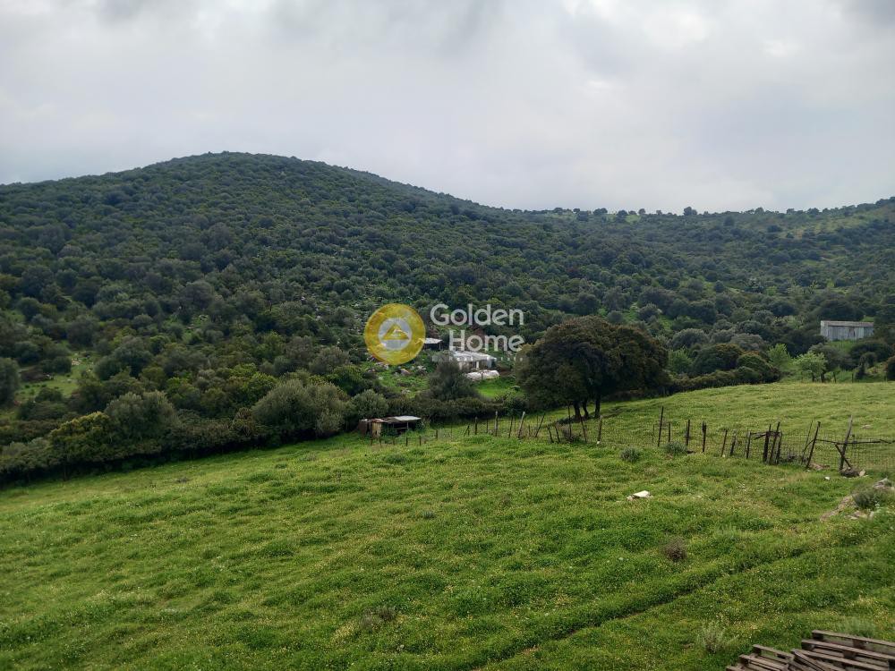 Μεζονέτα 152 τ.μ. προς πώληση, Κατακαλός