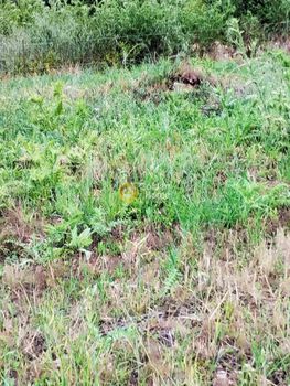 Land plot 500sqm for sale-Trikala » Center