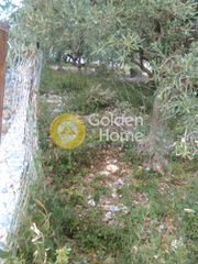 Οικόπεδο 450 τ.μ. προς πώληση, Γιάλτρα-thumb-5