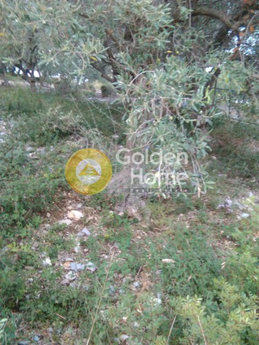 Land plot 450 sqm for sale, Gialtra
