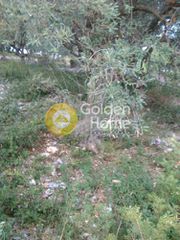 Οικόπεδο 450 τ.μ. προς πώληση, Γιάλτρα-thumb-4