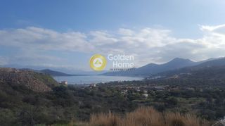 Οικόπεδο 19.500 τ.μ. για πώληση