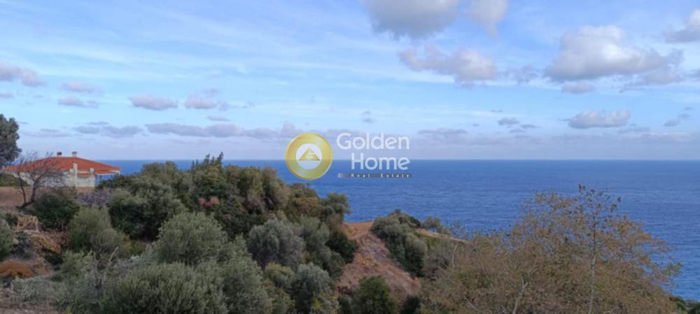 Αγροτεμάχια 1.600 τ.μ. προς πώληση, Παραλία Κύμης
