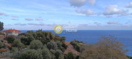 Αγροτεμάχια 1.600τ.μ. για πώληση-Κύμη » Παραλία κύμης