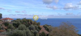 Αγροτεμάχια 1.600 τ.μ. για πώληση