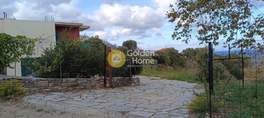 Αγροτεμάχια 1.600 τ.μ. προς πώληση, Παραλία Κύμης