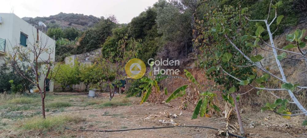 Αγροτεμάχια 1.600 τ.μ. προς πώληση, Παραλία Κύμης