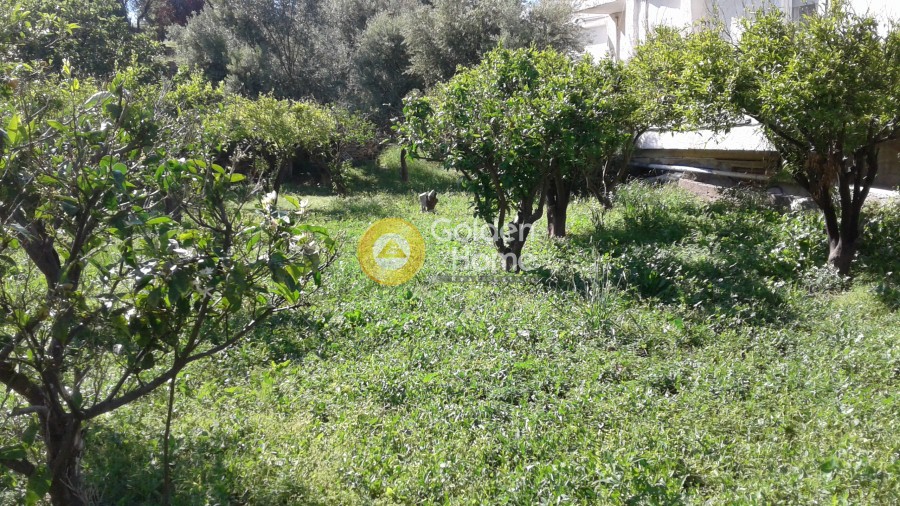 Μεζονέτα 226 τ.μ. πρός πώληση, Δωδεκάνησα, Λέρος