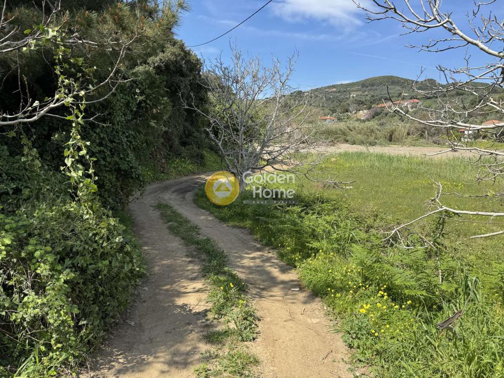 Αγροτεμάχια 2.067 τ.μ. πρός πώληση, Μαγνησία, Αργαλαστή
