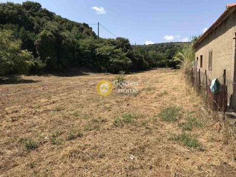 Αγροτεμάχια 2.067τ.μ. για πώληση-Αργαλαστή » Αγία τριάδα