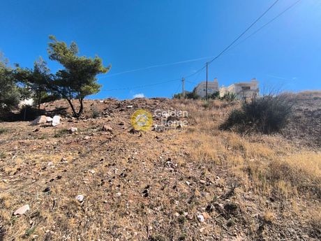 Οικόπεδο 491τ.μ. για πώληση-Πικέρμι » Διώνη