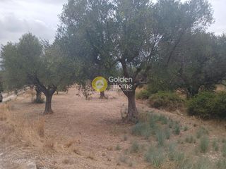 Οικόπεδο 4.030 τ.μ. για πώληση