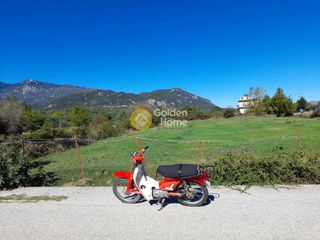 Αγροτεμάχια 3.006 τ.μ. για πώληση