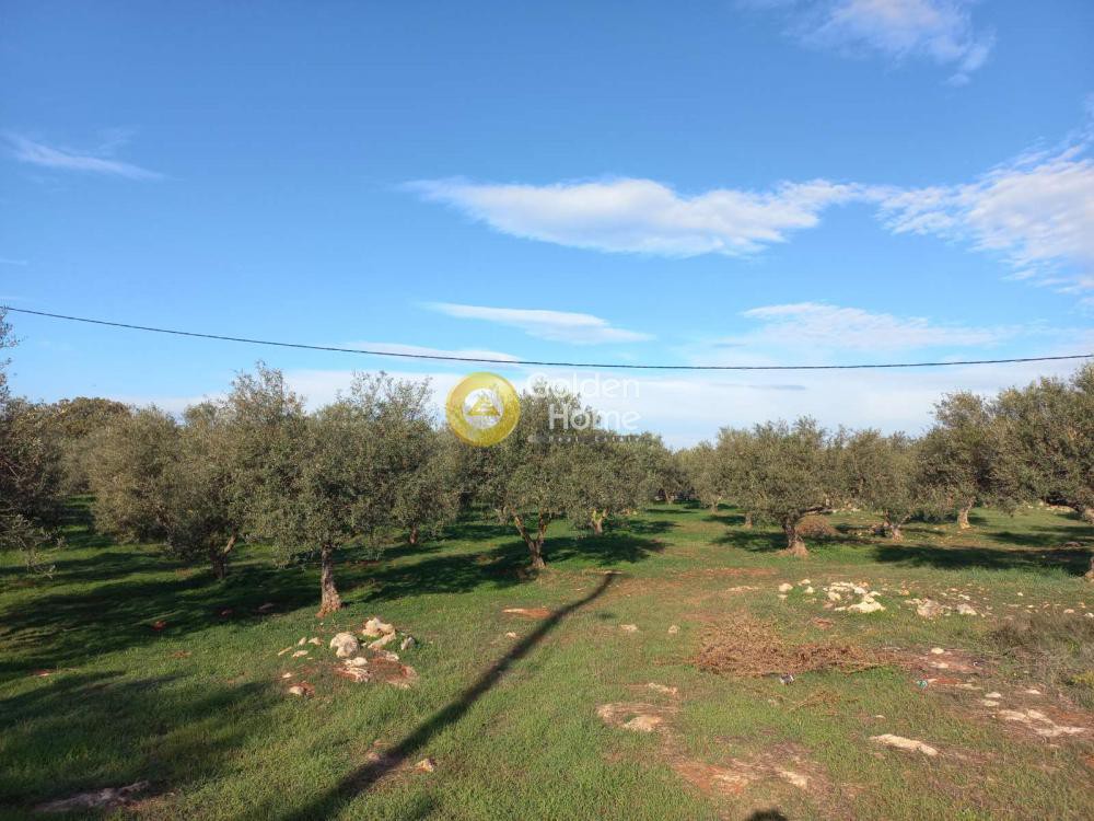 Οικόπεδο 4.600 τ.μ. προς πώληση, Ζορνάδης