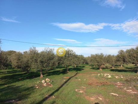 Οικόπεδο 4.600τ.μ. για πώληση-Ακρωτήρι » Ζορνάδης