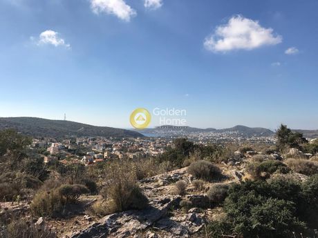 Αγροτεμάχια 6.400τ.μ. για πώληση-Κορωπί » Κίτσι