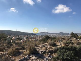 Αγροτεμάχια 6.400 τ.μ. προς πώληση