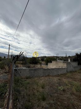 Αγροτεμάχια 206τ.μ. για πώληση-Ανθούσα