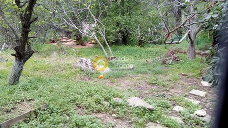 Οικόπεδο 768τ.μ. για πώληση-Διόνυσος » Κέντρο