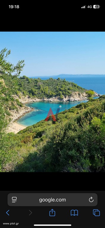 Οικόπεδο 25.500 τ.μ. προς πώληση, Σάρτη