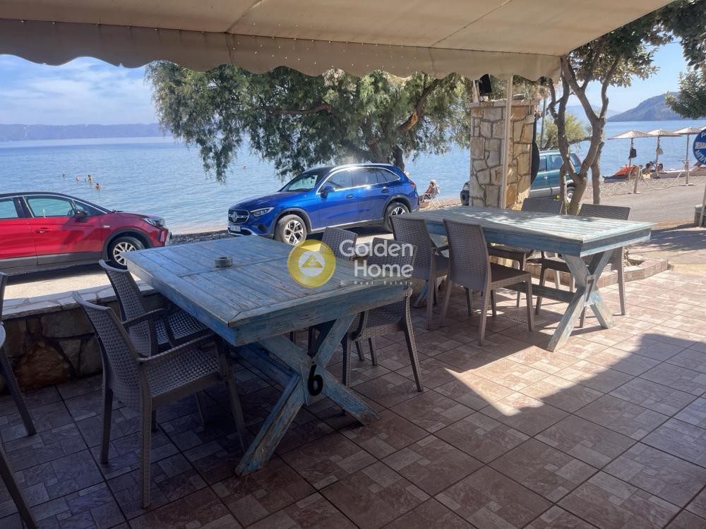 Επιχείρηση 350 τ.μ. πρός πώληση, Φθιώτιδας, Μαλεσίνα