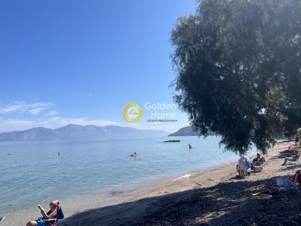 Επιχείρηση 350 τ.μ. πρός πώληση, Φθιώτιδας, Μαλεσίνα