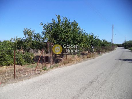 Αγροτεμάχια 2.500τ.μ. για πώληση-Αίγιο » Διγελιώτικα