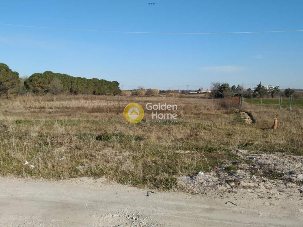 Αγροτεμάχια 3.000 τ.μ. προς ενοικίαση, Θεσσαλονίκη - Περιφ/Κοί Δήμοι, Επανομή