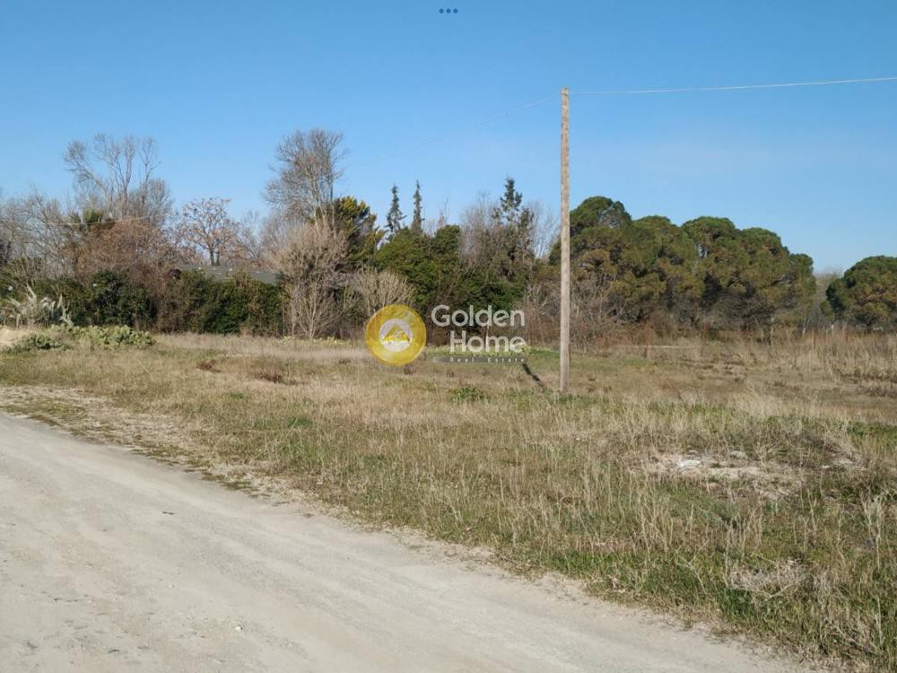 Αγροτεμάχια 3.000 τ.μ. προς ενοικίαση, Θεσσαλονίκη - Περιφ/Κοί Δήμοι, Επανομή