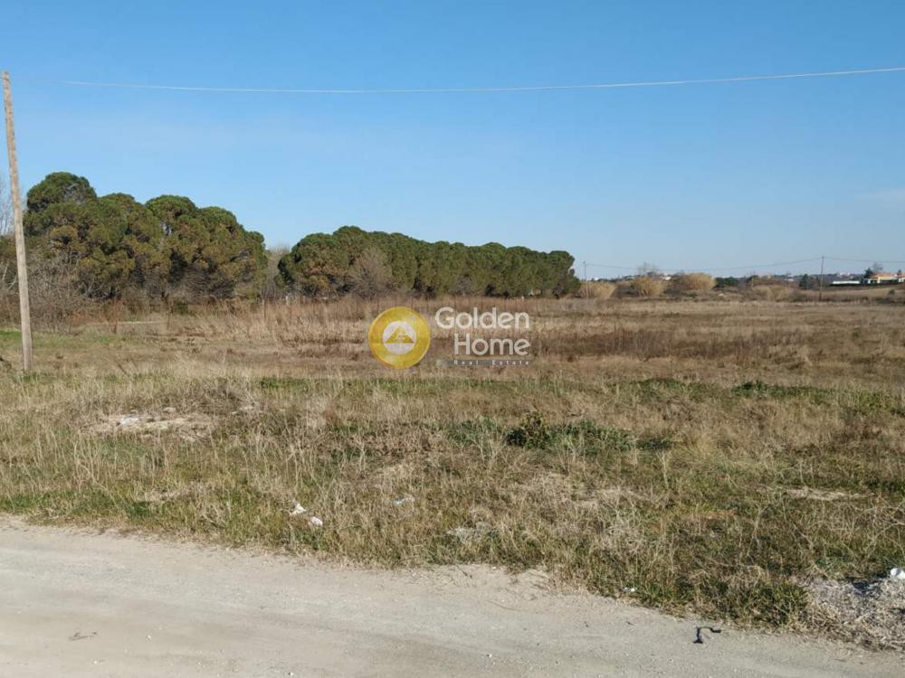 Αγροτεμάχια 3.000 τ.μ. προς ενοικίαση, Θεσσαλονίκη - Περιφ/Κοί Δήμοι, Επανομή