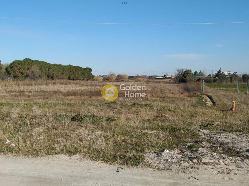 Αγροτεμάχια 3.000 τ.μ. προς ενοικίαση, Θεσσαλονίκη - Περιφ/Κοί Δήμοι, Επανομή