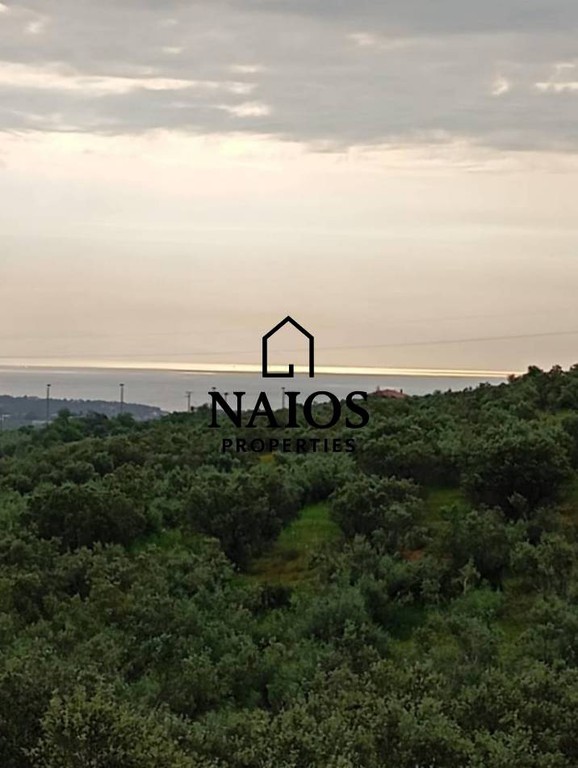 Διαμέρισμα 180 τ.μ. πρός πώληση, Κορινθία, Κόρινθος