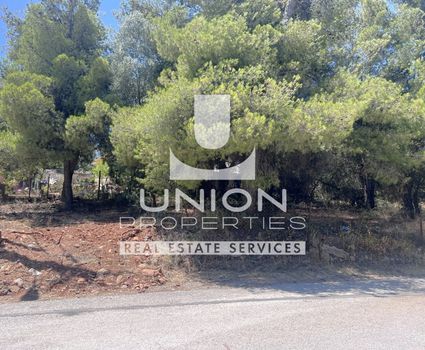 Land plot 250sqm for sale-Glika Nera » Centre