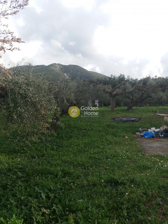 Μεζονέτα 310 τ.μ. προς πώληση, Κρήνη Μεσσάτιδας