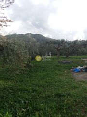 Μεζονέτα 310 τ.μ. για πώληση, Αχαΐα, Μεσσατίδα-thumb-2