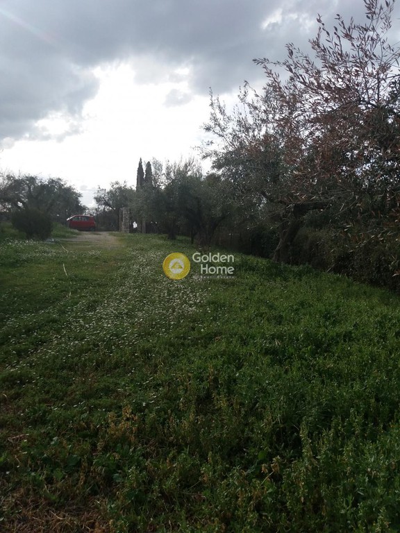 Μεζονέτα 310 τ.μ. προς πώληση, Κρήνη Μεσσάτιδας