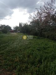 Μεζονέτα 310 τ.μ. για πώληση, Αχαΐα, Μεσσατίδα-thumb-1