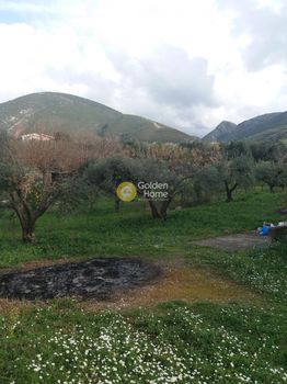 Μεζονέτα 310 τ.μ. για πώληση