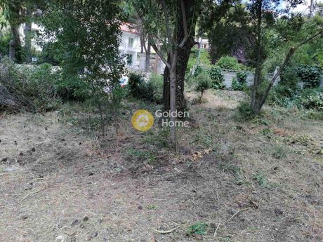 Land plot 800 sqm for sale