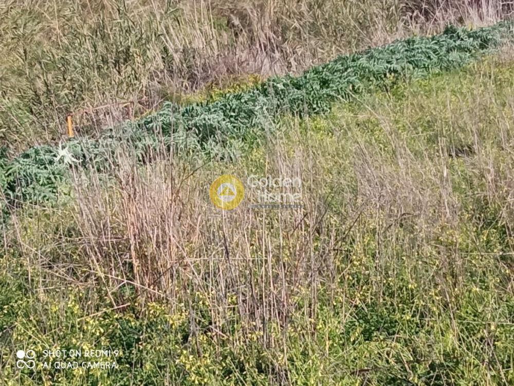 Οικόπεδο 2.000 τ.μ. προς ενοικίαση, Ν. Ηρακλείου, Ηράκλειο Κρήτης