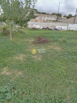 Οικόπεδο 800τ.μ. για πώληση-Αρκάδι » Σταυρωμένος