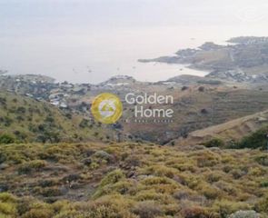 Αγροτεμάχια 13.000 τ.μ. για πώληση