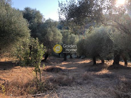 Οικόπεδο 5.500τ.μ. για πώληση-Ανδρούσα » Άγιοι ανάργυροι
