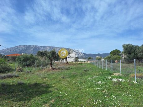 Οικόπεδο 445τ.μ. για πώληση-Παιανία » Άνοιξη