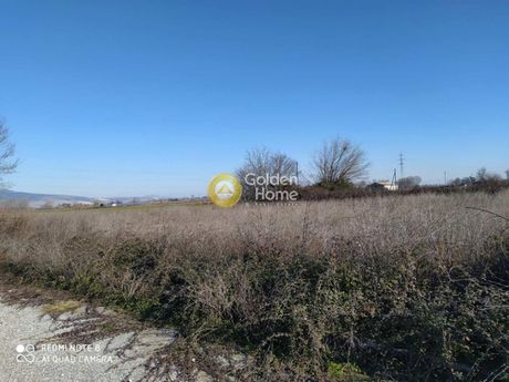 Οικόπεδο 1.500τ.μ. για πώληση-Τρίκαλα » Ριζαρειό